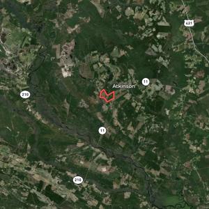 Photo #72 of Off Atkinson Cemetary Rd, Atkinson, NC 202.0 acres