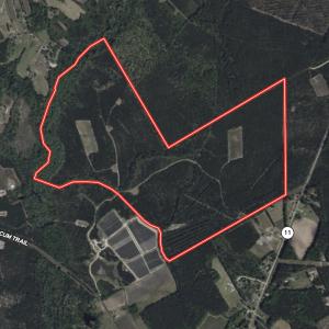 Photo #73 of Off Atkinson Cemetary Rd, Atkinson, NC 202.0 acres