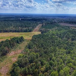 Photo #10 of Off Burney Road, White Oak, NC 9.0 acres