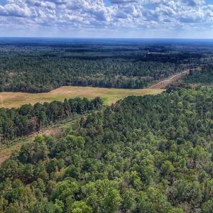 Photo #11 of Off Burney Road, White Oak, NC 9.0 acres