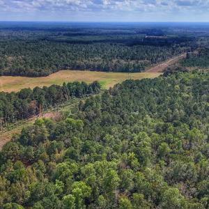 Photo #12 of Off Burney Road, White Oak, NC 9.0 acres