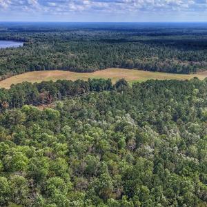 Photo #13 of Off Burney Road, White Oak, NC 9.0 acres