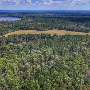 Photo #14 of Off Burney Road, White Oak, NC 9.0 acres