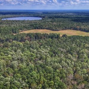 Photo #15 of Off Burney Road, White Oak, NC 9.0 acres