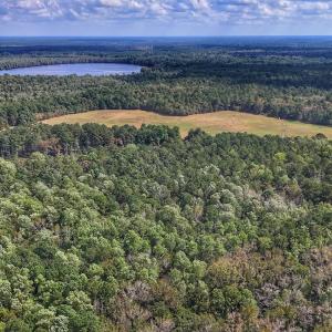 Photo #16 of Off Burney Road, White Oak, NC 9.0 acres
