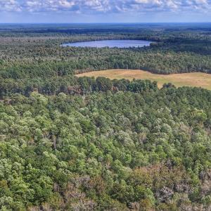 Photo #17 of Off Burney Road, White Oak, NC 9.0 acres