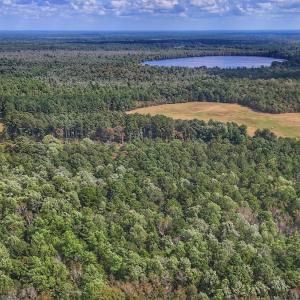 Photo #18 of Off Burney Road, White Oak, NC 9.0 acres