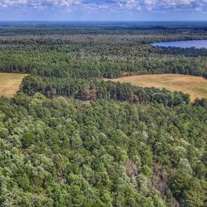 Photo #19 of Off Burney Road, White Oak, NC 9.0 acres