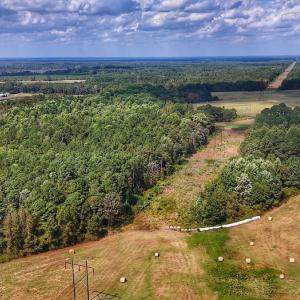 Photo #1 of Off Burney Road, White Oak, NC 9.0 acres