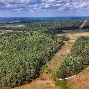 Photo #2 of Off Burney Road, White Oak, NC 9.0 acres