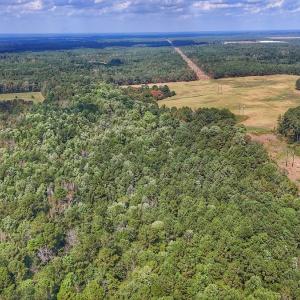 Photo #21 of Off Burney Road, White Oak, NC 9.0 acres