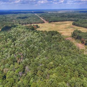 Photo #22 of Off Burney Road, White Oak, NC 9.0 acres