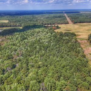 Photo #23 of Off Burney Road, White Oak, NC 9.0 acres