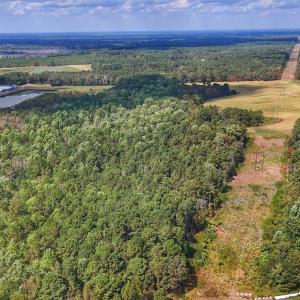 Photo #24 of Off Burney Road, White Oak, NC 9.0 acres
