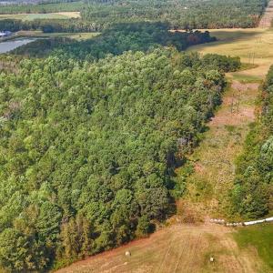 Photo #25 of Off Burney Road, White Oak, NC 9.0 acres