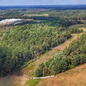 Photo #26 of Off Burney Road, White Oak, NC 9.0 acres