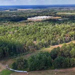 Photo #27 of Off Burney Road, White Oak, NC 9.0 acres