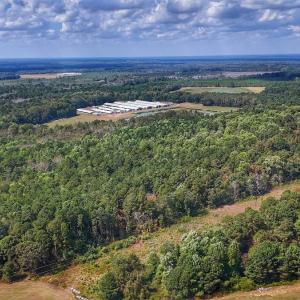 Photo #3 of Off Burney Road, White Oak, NC 9.0 acres