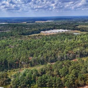Photo #4 of Off Burney Road, White Oak, NC 9.0 acres
