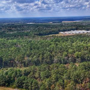 Photo #5 of Off Burney Road, White Oak, NC 9.0 acres