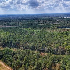 Photo #6 of Off Burney Road, White Oak, NC 9.0 acres