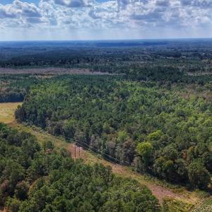 Photo #7 of Off Burney Road, White Oak, NC 9.0 acres