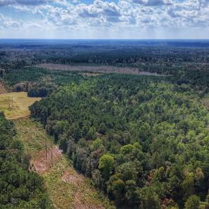 Photo #8 of Off Burney Road, White Oak, NC 9.0 acres
