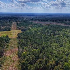 Photo #9 of Off Burney Road, White Oak, NC 9.0 acres