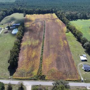 Photo #10 of Off Corbett Hill Road, Mount Olive, NC 21.5 acres