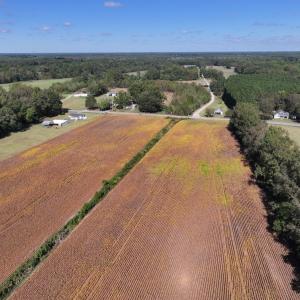 Photo #14 of Off Corbett Hill Road, Mount Olive, NC 21.5 acres