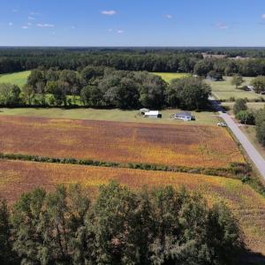 Photo #15 of Off Corbett Hill Road, Mount Olive, NC 21.5 acres