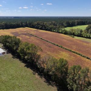 Photo #16 of Off Corbett Hill Road, Mount Olive, NC 21.5 acres
