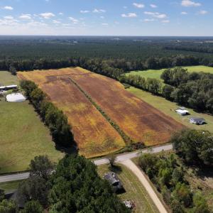 Photo #1 of Off Corbett Hill Road, Mount Olive, NC 21.5 acres