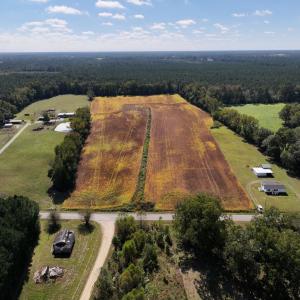 Photo #2 of Off Corbett Hill Road, Mount Olive, NC 21.5 acres
