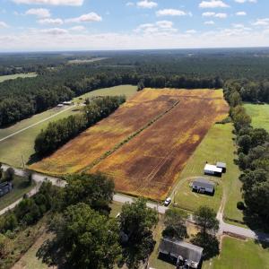 Photo #3 of Off Corbett Hill Road, Mount Olive, NC 21.5 acres