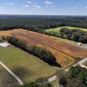 Photo #4 of Off Corbett Hill Road, Mount Olive, NC 21.5 acres