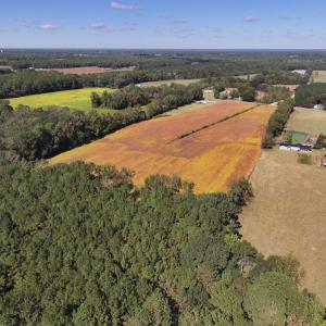 Photo #5 of Off Corbett Hill Road, Mount Olive, NC 21.5 acres