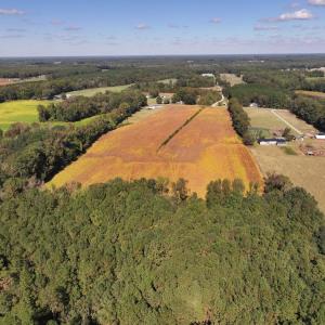 Photo #6 of Off Corbett Hill Road, Mount Olive, NC 21.5 acres