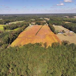 Photo #7 of Off Corbett Hill Road, Mount Olive, NC 21.5 acres