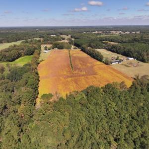 Photo #8 of Off Corbett Hill Road, Mount Olive, NC 21.5 acres