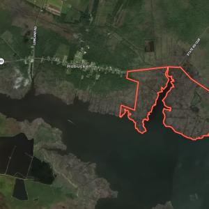 Photo #52 of 501 Drawbridge Rd, Hobucken, NC 455.0 acres