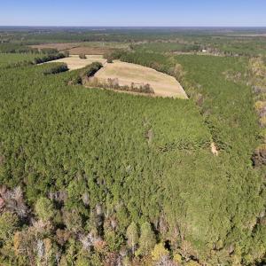 Photo #10 of Off Gaskins Rd, Grimesland, NC 135.3 acres