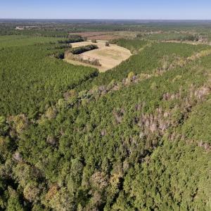 Photo #12 of Off Gaskins Rd, Grimesland, NC 135.3 acres
