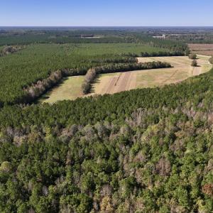 Photo #13 of Off Gaskins Rd, Grimesland, NC 135.3 acres