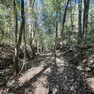 Photo #16 of Off Gaskins Rd, Grimesland, NC 135.3 acres