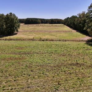 Photo #19 of Off Gaskins Rd, Grimesland, NC 135.3 acres