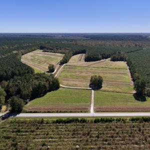 Photo #1 of Off Gaskins Rd, Grimesland, NC 135.3 acres
