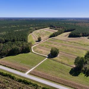 Photo #2 of Off Gaskins Rd, Grimesland, NC 135.3 acres