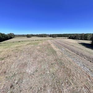 Photo #21 of Off Gaskins Rd, Grimesland, NC 135.3 acres