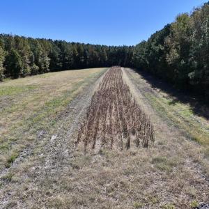 Photo #23 of Off Gaskins Rd, Grimesland, NC 135.3 acres